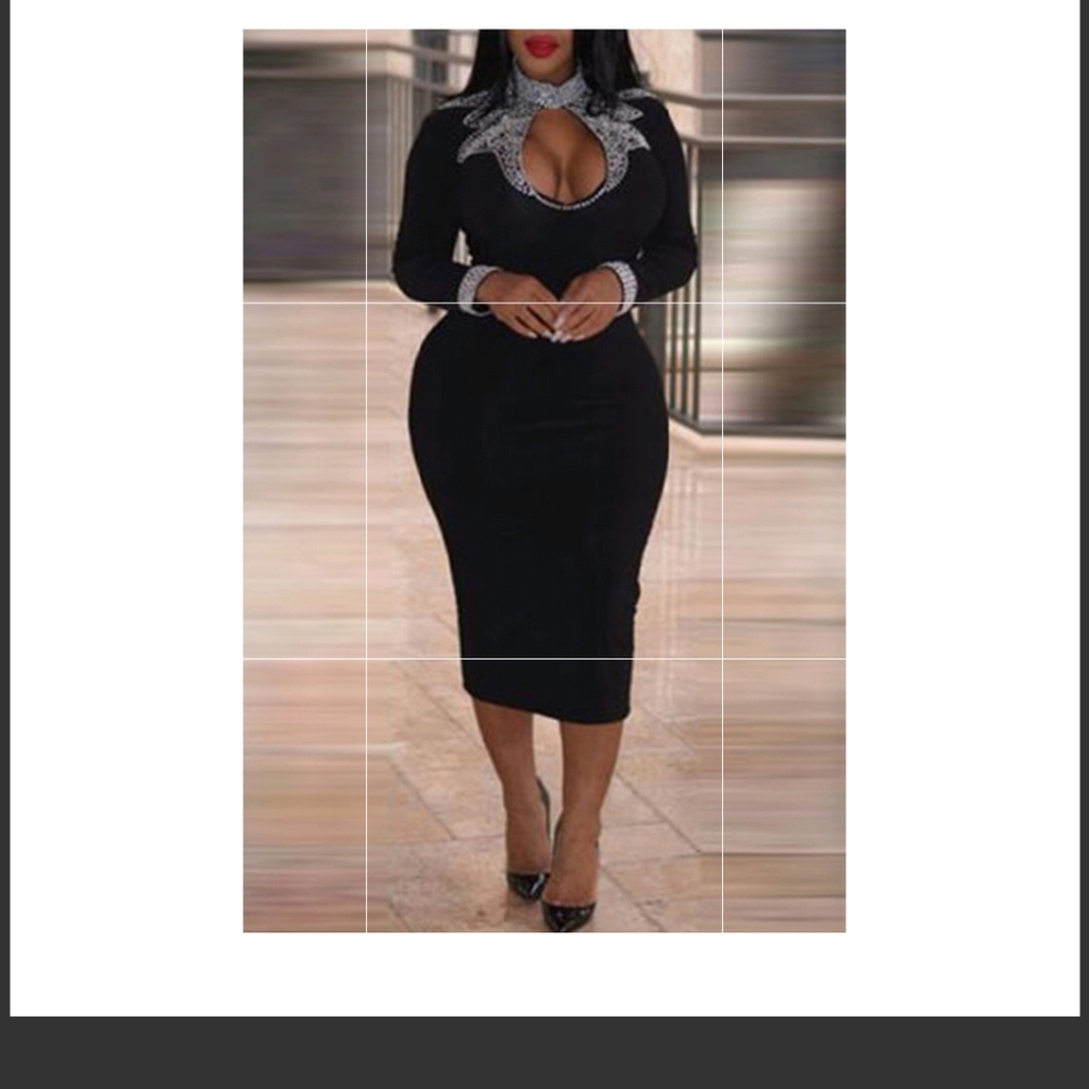 Sophisticated Decorative Dress